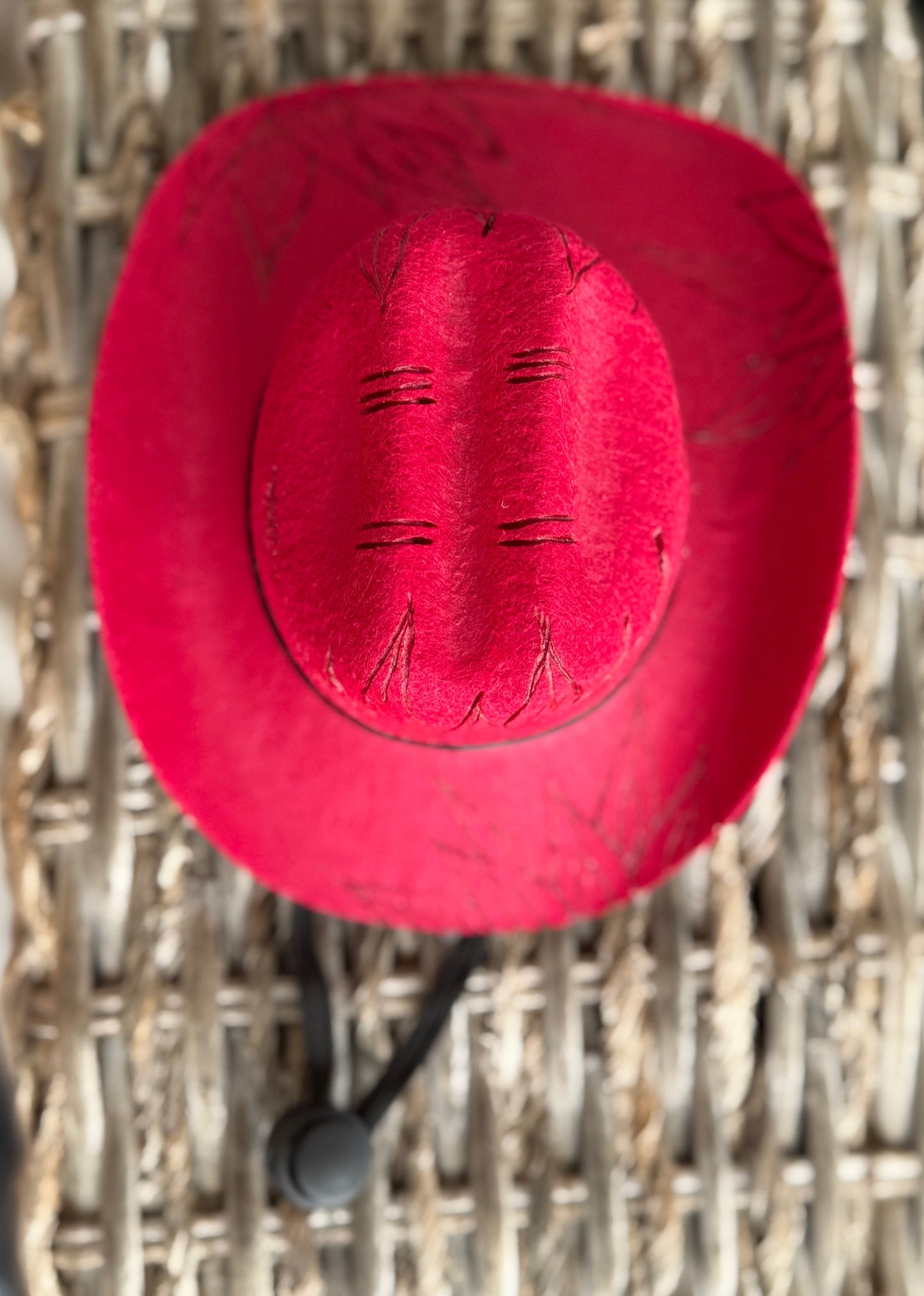 Wild West Pet Hat