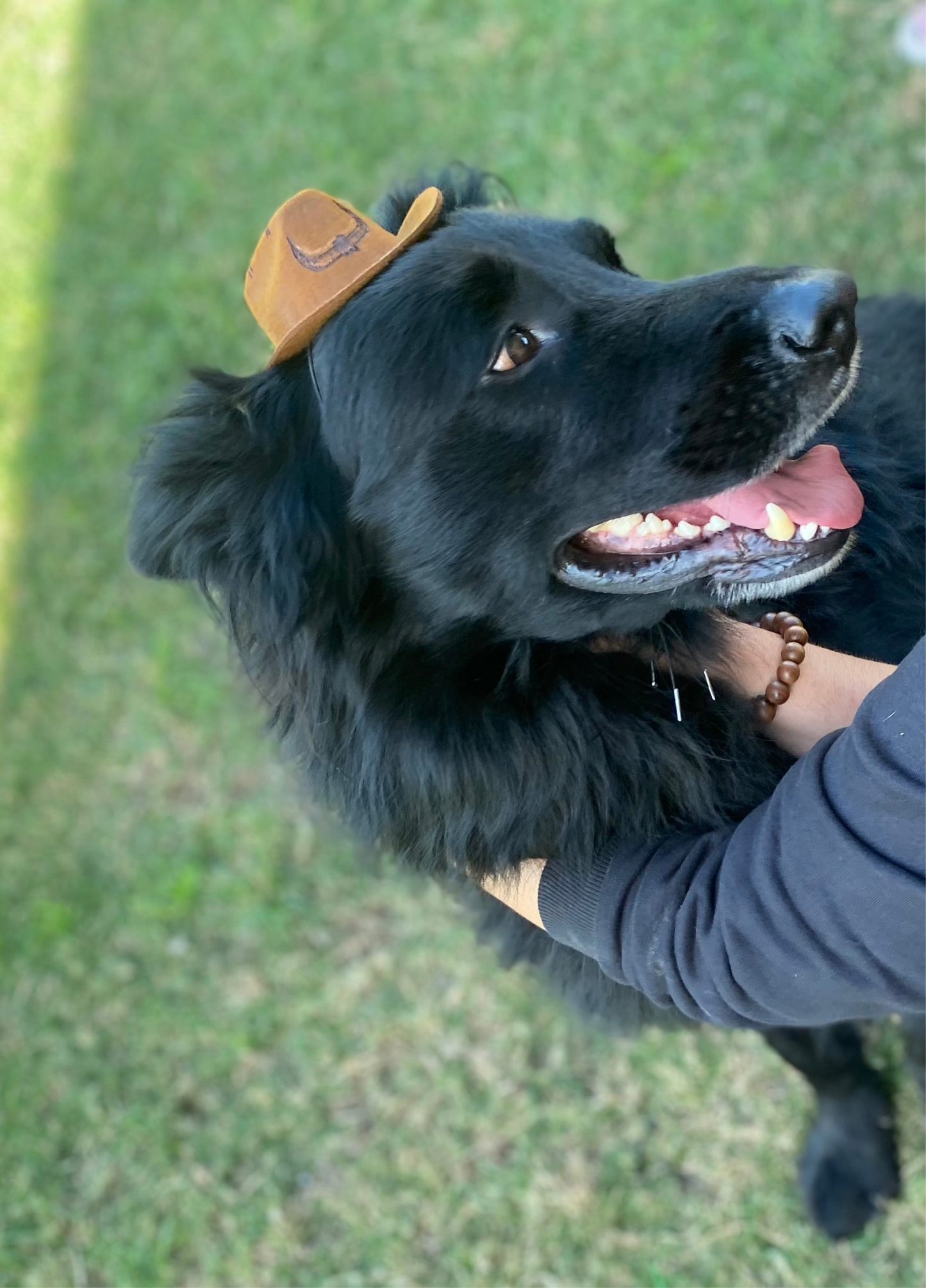 Wild West Pet Hat