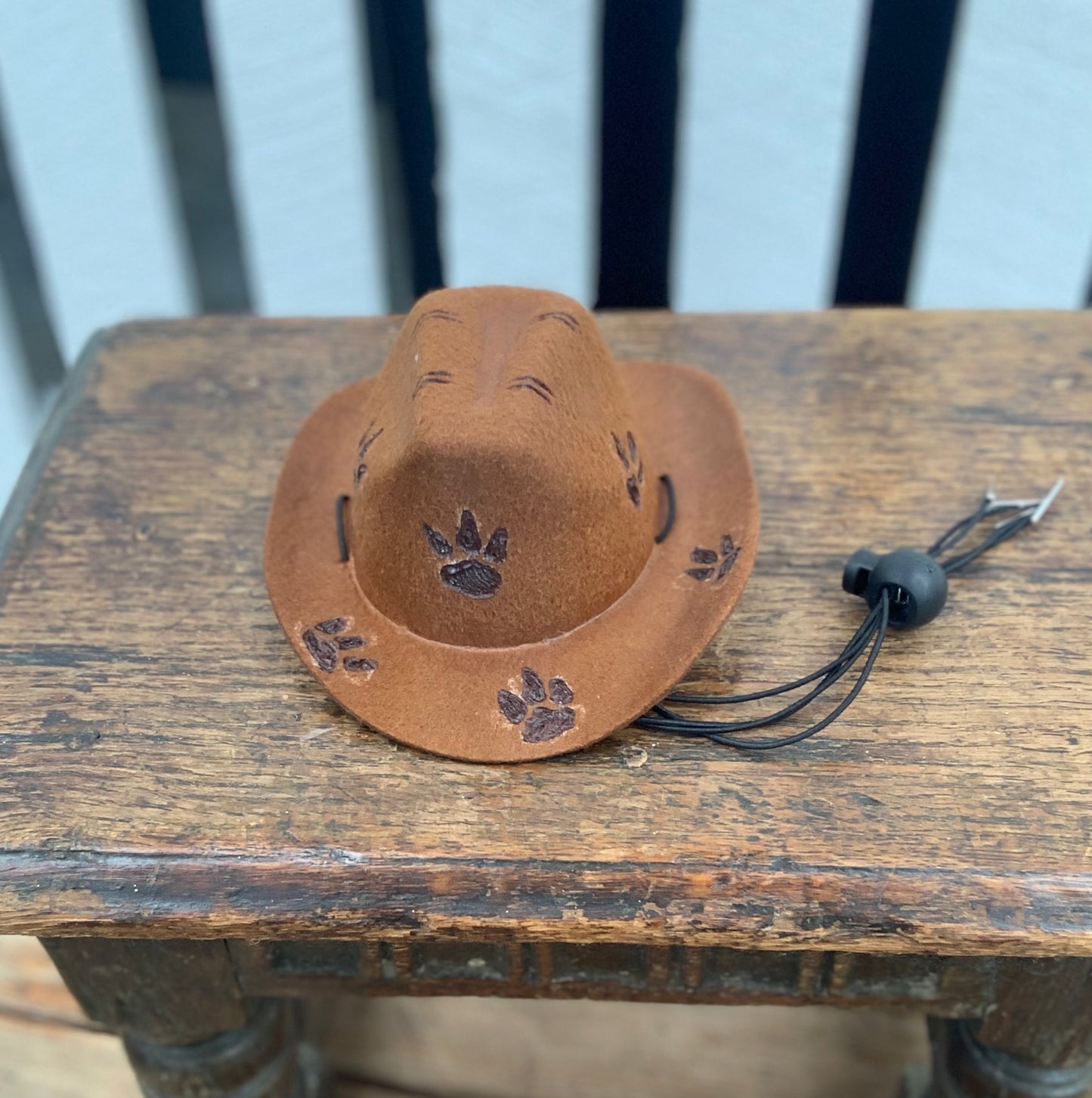 Wild West Pet Hat