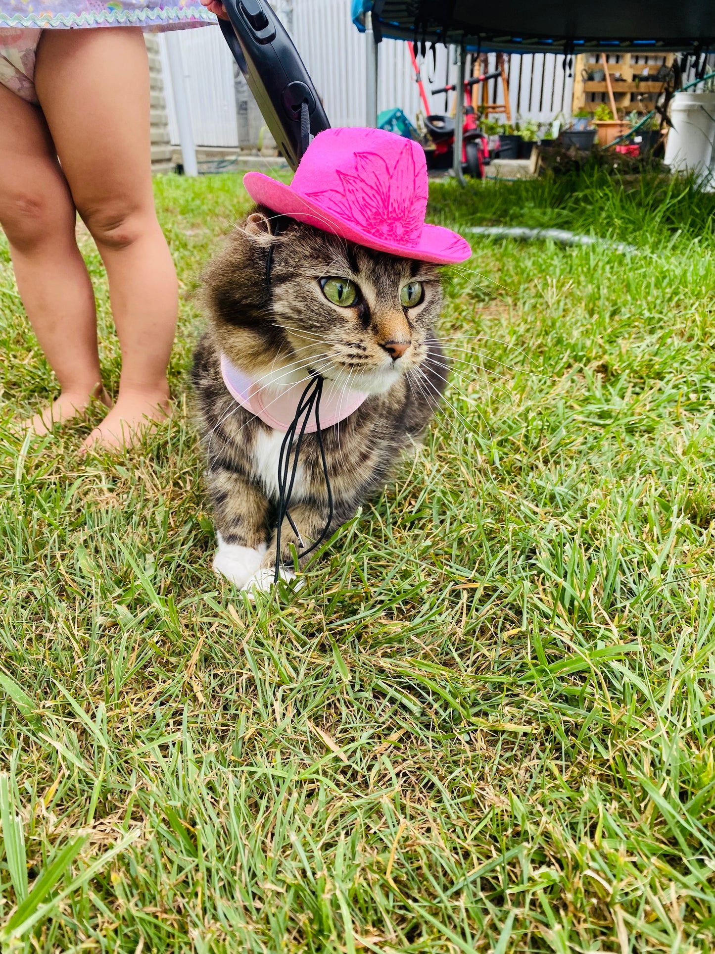 Wild West Pet Hat