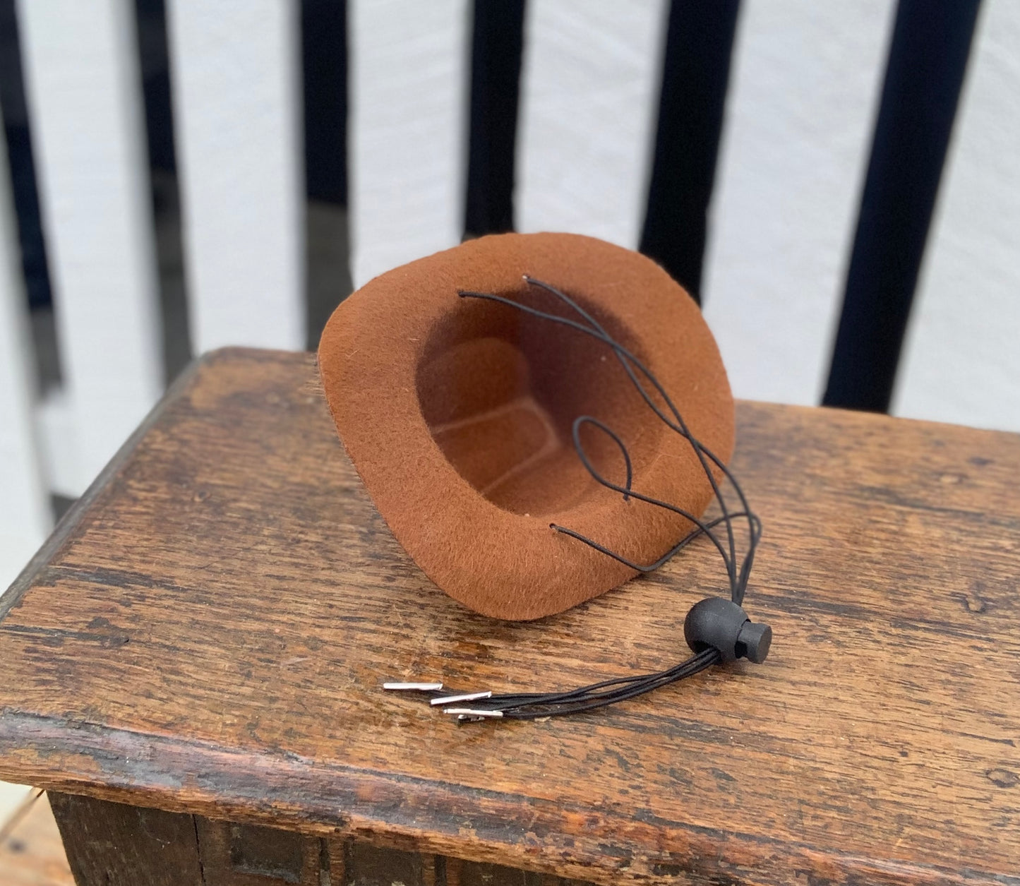 Wild West Pet Hat