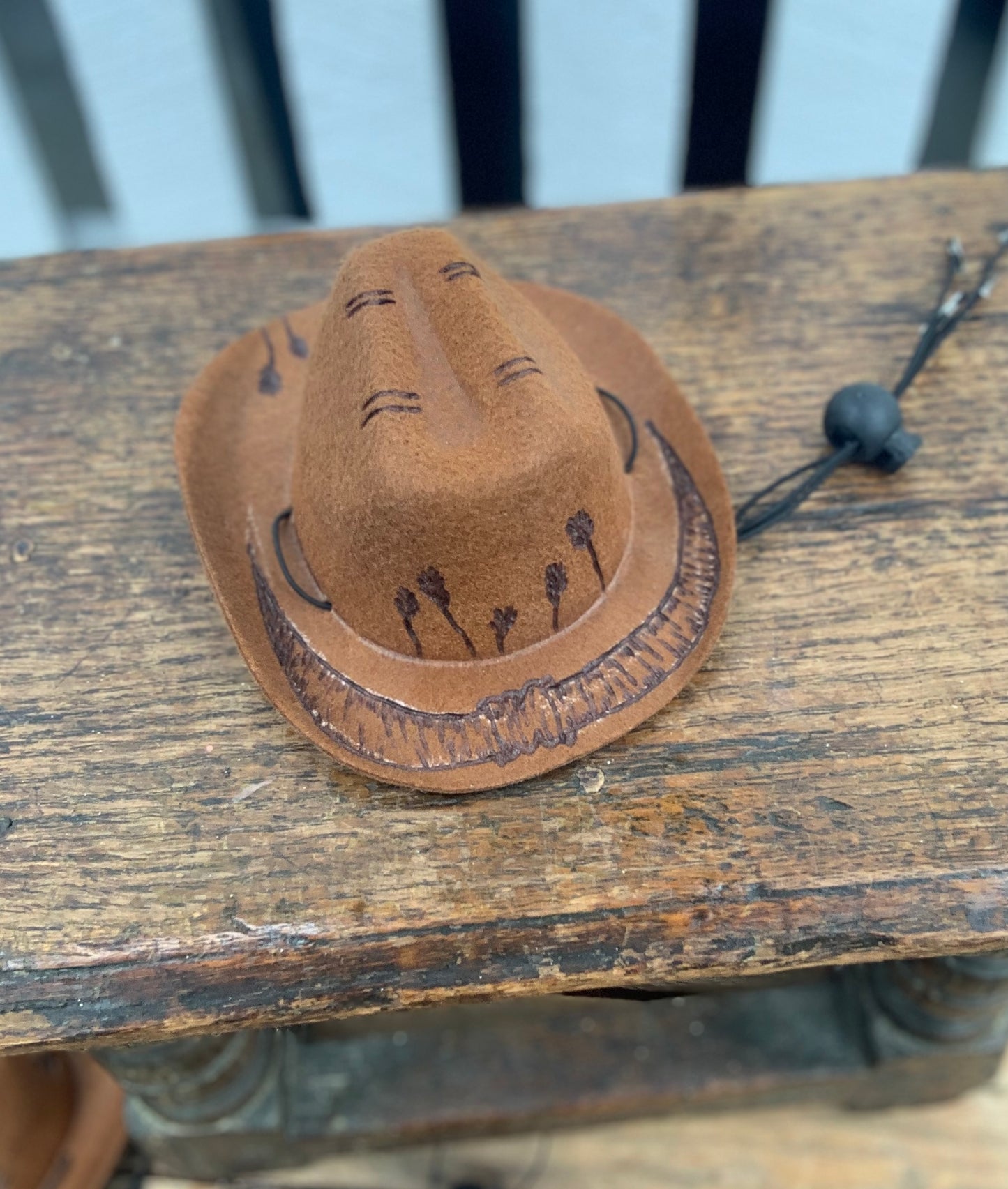 Wild West Pet Hat