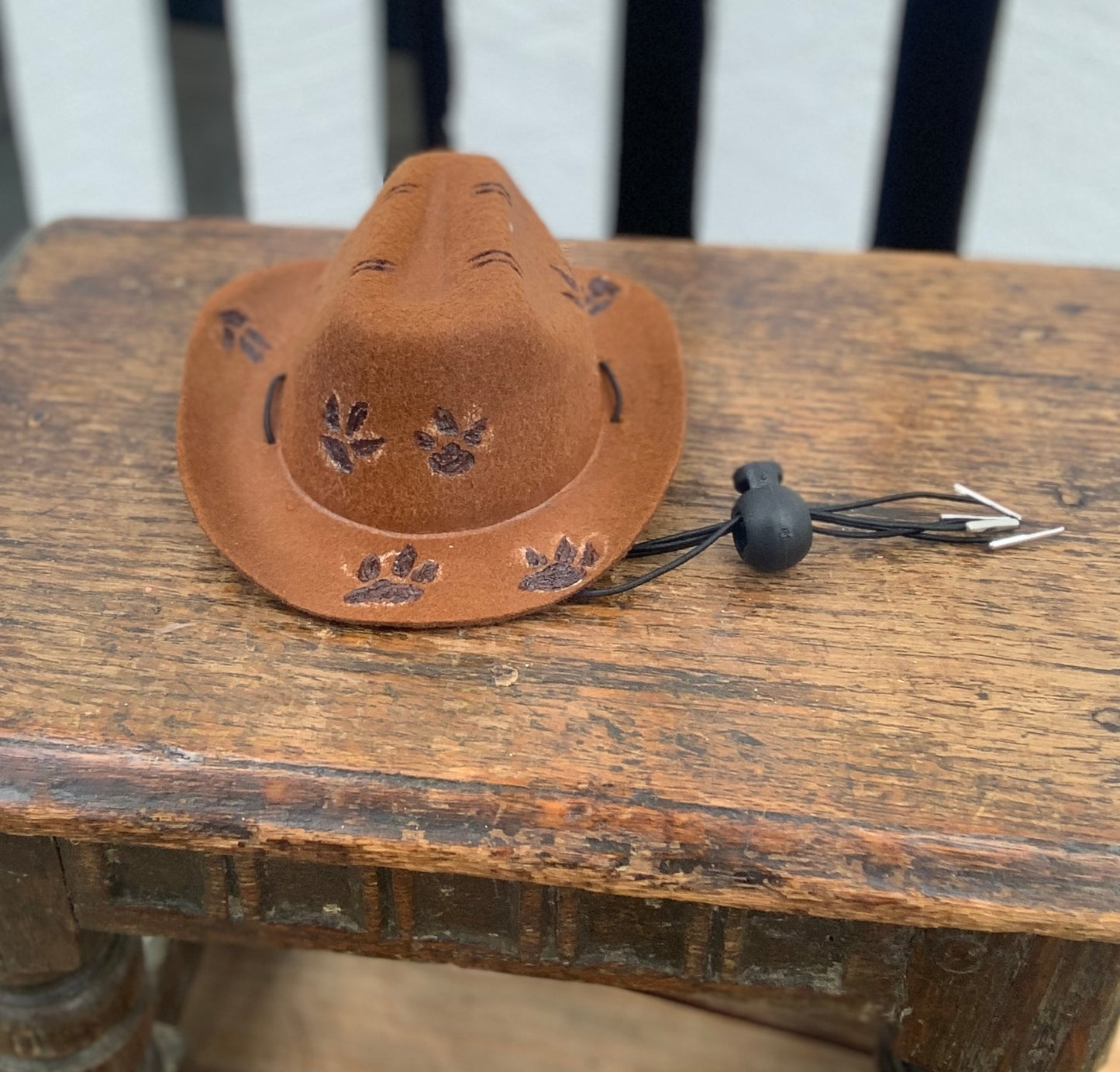 Wild West Pet Hat